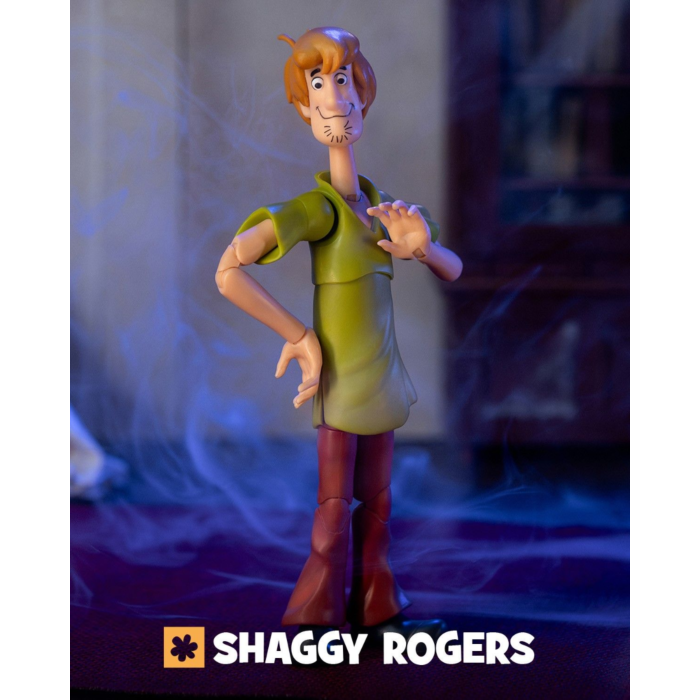 Scooby-Doo! - Shaggy 1/12th Scale Action Figure