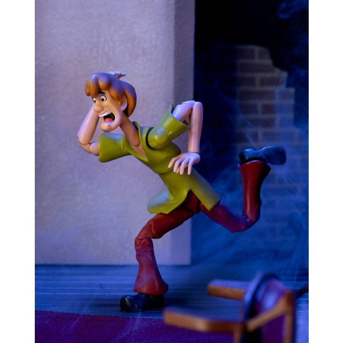 Scooby-Doo! - Shaggy 1/12th Scale Action Figure