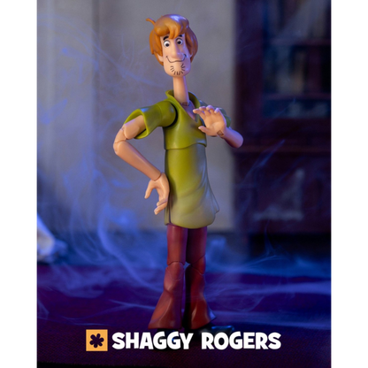 Scooby-Doo! - Shaggy 1/12th Scale Action Figure